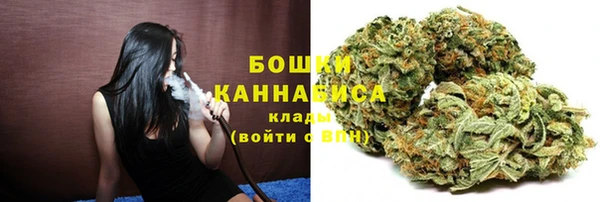 PSILOCYBIN Белокуриха