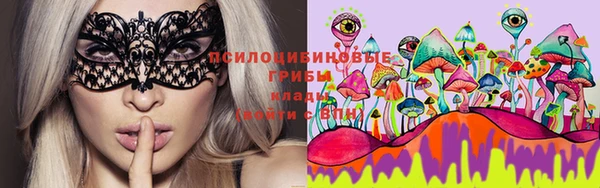 PSILOCYBIN Белокуриха