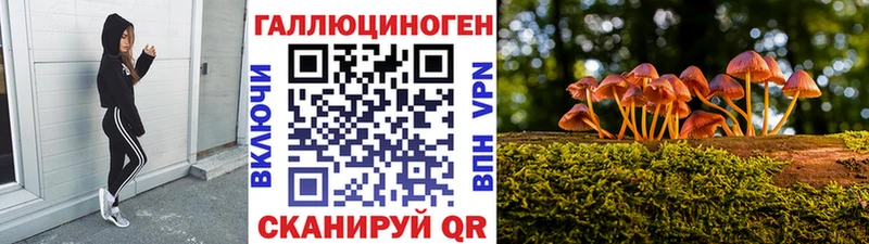 shop официальный сайт  Черемхово  Псилоцибиновые грибы GOLDEN TEACHER 